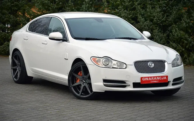 Jaguar XF cena 49900 przebieg: 219000, rok produkcji 2011 z Piwniczna-Zdrój małe 781